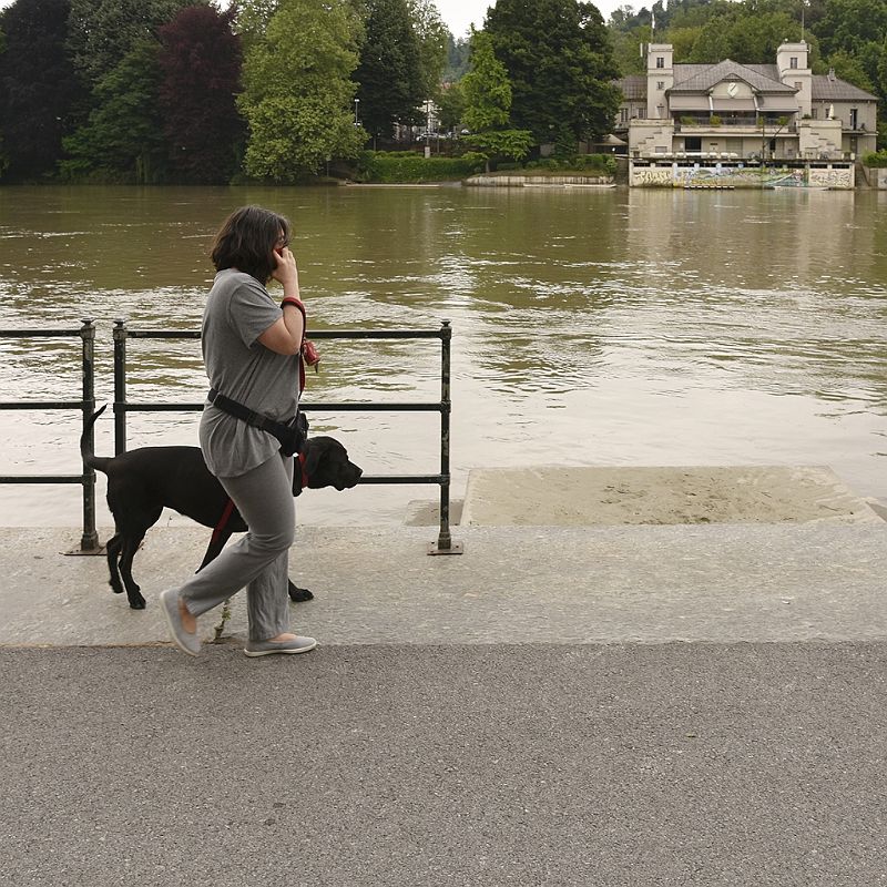 Walking with my dog (16).JPG